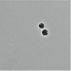 PP-AB11_0748_Trans_1.jpg
